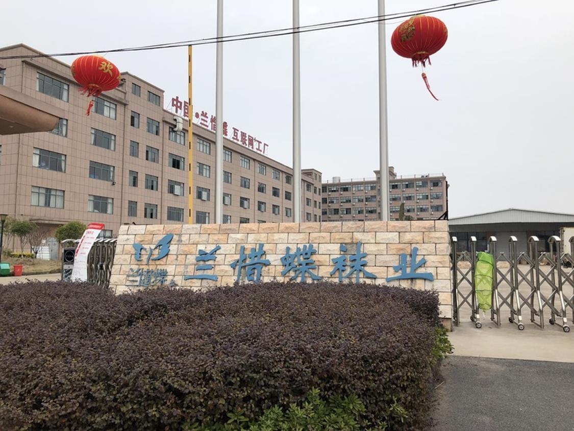 蘭惜蝶債權(quán)拍賣