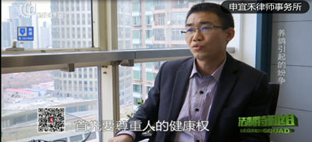 媒體報(bào)道