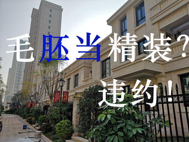 毛胚當(dāng)精裝